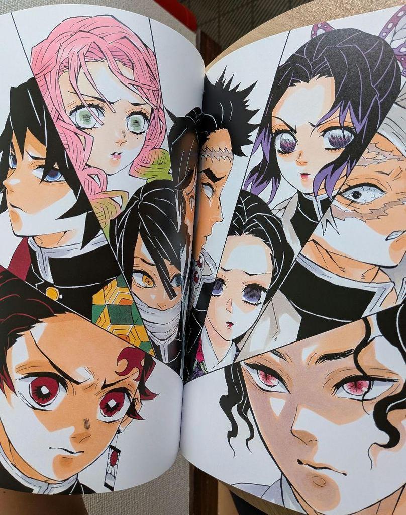 [USED] Demon Slayer: Kimetsu No Yaiba Koyoharu Gotouge Art Collection