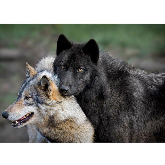 Wolf DIY 5D Diamond Painting Full Round Resin Rhinestone Mosaic Animal Paintings Diamond Embroidery Cross Stitch Home Decor