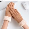 Winter Suede Leather Biking Gloves Autumn Thicken Female Warm Velvet Plush Mittens Women Outdoor Activity Touch Screen Driving Gloves