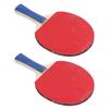 2 Schläger 3 Bälle Tischtennisschläger Ball Set mit beidseitigen Noppen innen Schüttelgriff Ping Pong Schläger Sets für Indoor