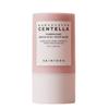 Madagascar Centella Poremizing Quick Clay Stick Mask 27g