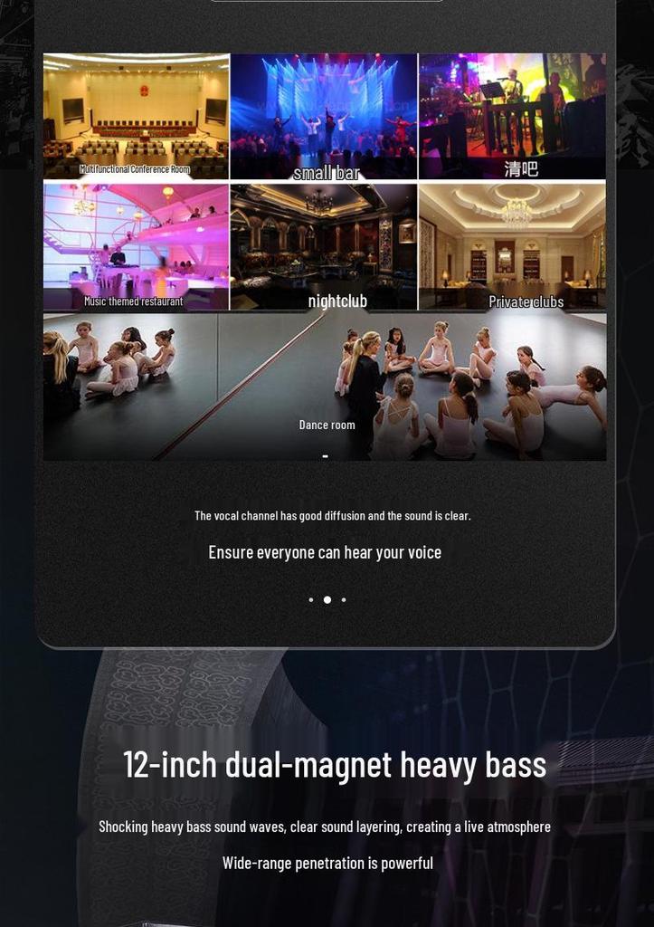 Xianke Pro Audio System for Conference Rooms, Classrooms, Dance Rooms, Home KTV, and Bars