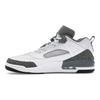 Air Jordan Spizike Low White Cool Grey Men Sneakers Anthracite Wolf-Grey FQ1759-102