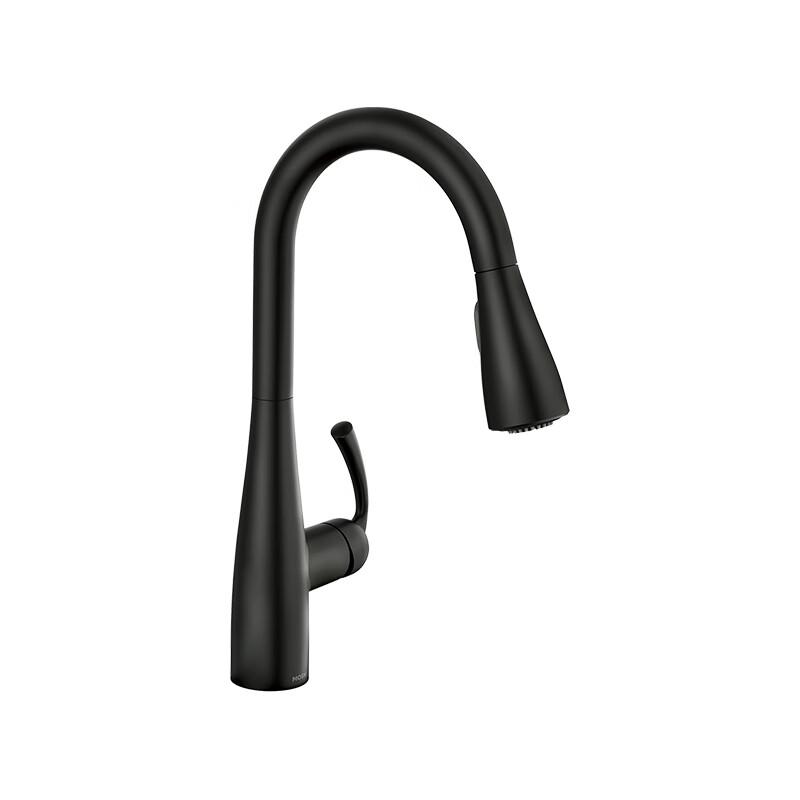 Moen Ais Single Handle Pull-Down Kitchen Faucet