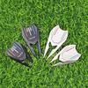 Golf – Golf ekipmanı bakımı