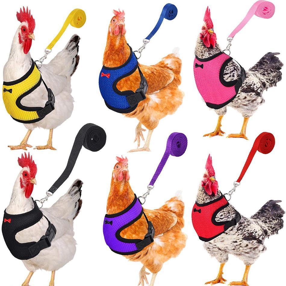 1 Pcs Fashion Chicken Duck Vest Hen Belt Pet Harness Matching Collars Bow Comfortable Leads Breathable Poultry Supplies