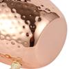 Tazza Moscow Mule con manico in acciaio inox 550ml, martellata, tazza da cocktail creativa