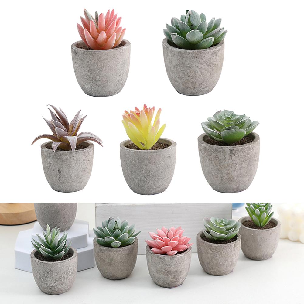 Desktop Ornament Indoor Greenery Desktop Arrangement Stylish Home D cor Versatile Design High Quality Materials