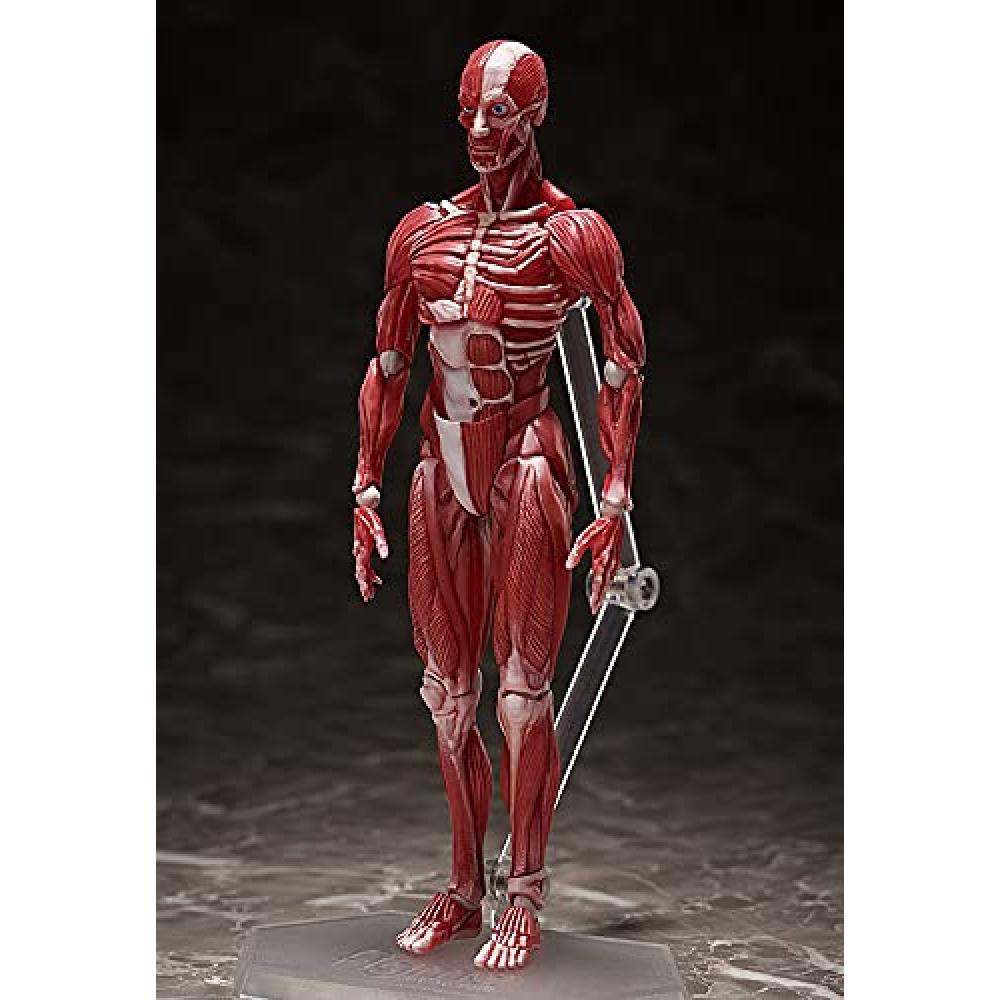 Figma model lidského těla bez měřítka ABS&PVC malovaná pohyblivá figurka F51042