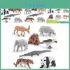 Realistic Asian Animal Model Set With Panda Tiger Gorilla Crocodile And Elephant