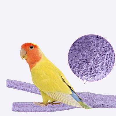 Papağan Standı Çerçevesi, Kuş Standı Çubuğu, Stand Direği, Öğütme Pençesi, Habitat Çubuğu, Kuş Kafesi Aksesuarları