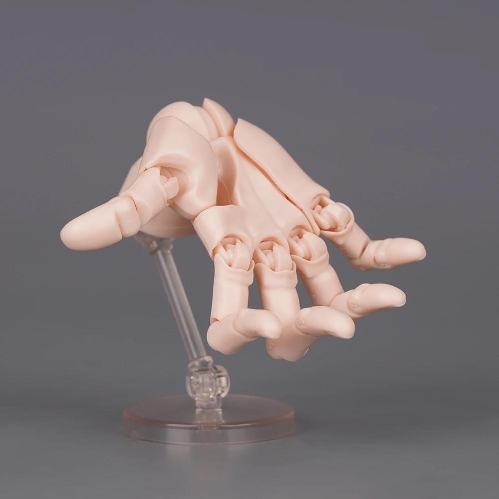 1:2-fach verkleinertes menschliches Handmodell Bewegliche Gelenke Verdrehtes Ei Design Gelenkige Actionfigur Mit beweglichen Fingern Mini-Größe