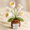 Milk Yarn Crocheted Plant Ornament Indoor with Face and Arms Compact Handmade