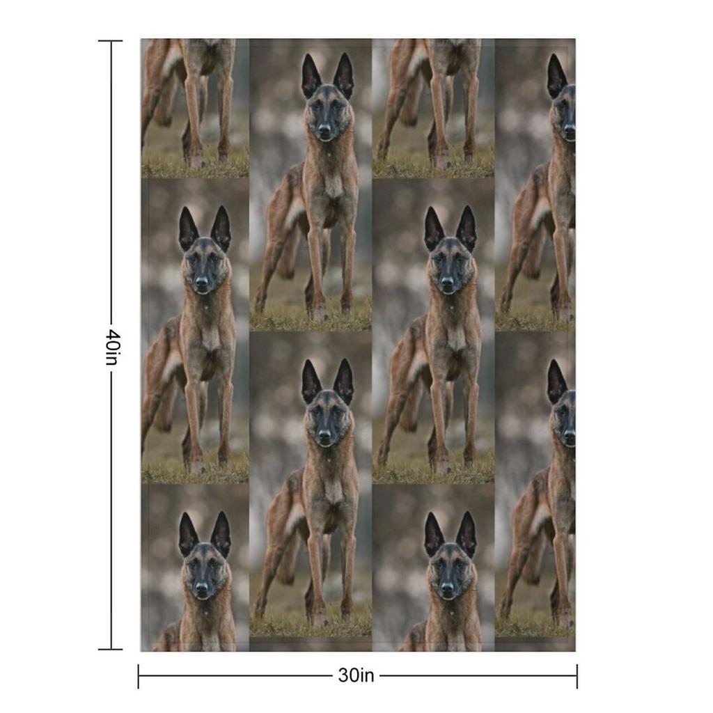 Belgian Shepherd Malinois Amazing Throw Blanket Warm Winter Multi-Purpose Furrys Polar Blankets