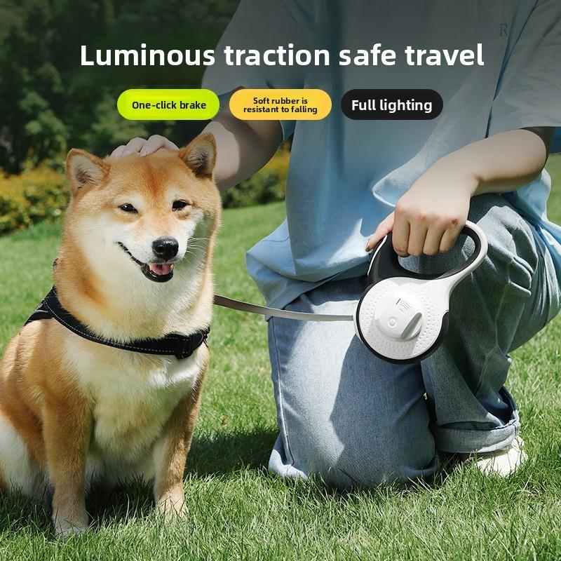 Automatic Pet Scalability Traction Rope With Nylon Material For Outdoor Trip And