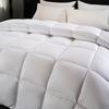 Ally Four-Season Thickened Cotton Duvet Insert