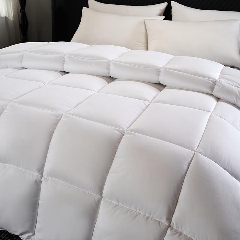 Ally Four-Season Thickened Cotton Duvet Insert