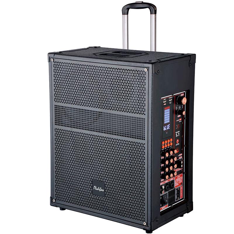 Runpu 12-inch 3-Way Portable PA Speaker with Microphone (CN version)