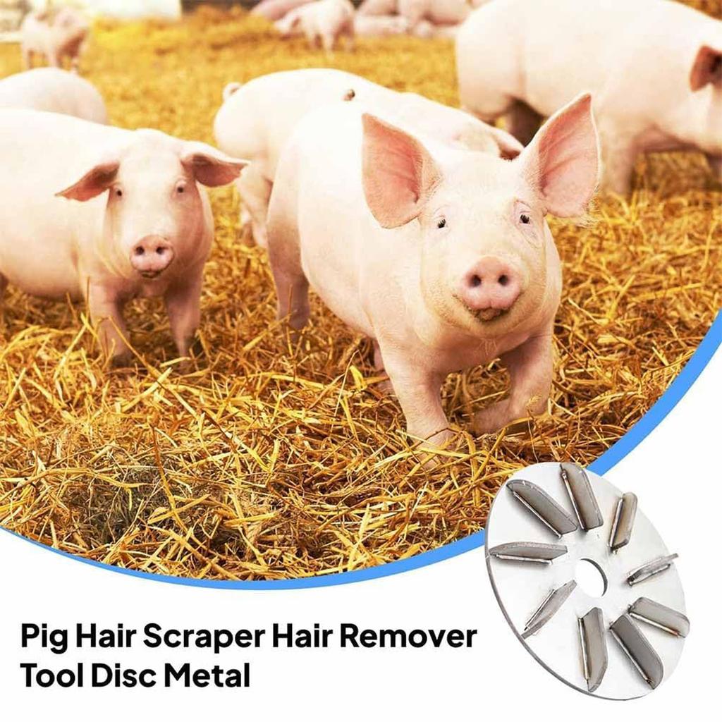 Arbeitssparender Schweinehaarentferner Schaber 7/9 Gänge Schweinehaarentfernungswerkzeug Viehhaarentfernung Metall Arbeitssparende Haarentfernungsscheibe