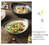 Japanese Olive Stone Pattern Ceramic Plate for Pasta and Pizza
