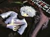[USED] Extremely Rare Hunter X Hunter Killua Anime T-Shirt Long Sleeve XL