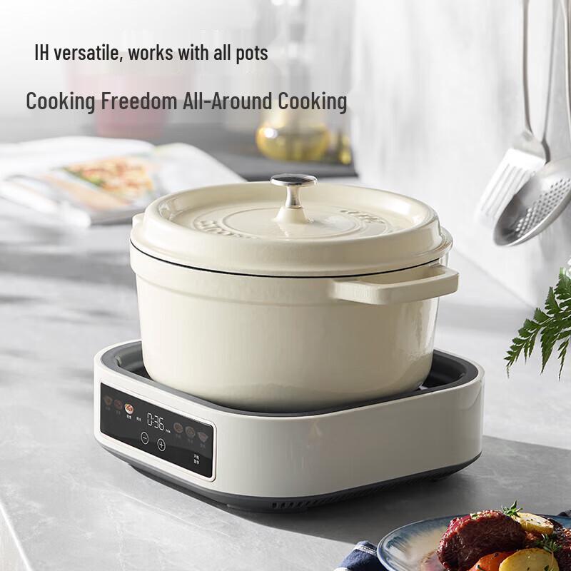 Morphy Richards 6L IH Multi-Function Electric Hot Pot CN plug (adapter included)