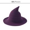 Halloween hat, witch hat, magician's hat, wool wizard hat