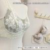 French Lace Underwear Women's Small Breasts Gather and Show Big Sexy Pure Desire Wind Collection Breast Anti-sagging No Steel Ring Text