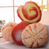 Plush Donut Cream Bread Stuffed Toy Pillow Soft Cushion Restaurant Decoration Birthday Gift Birthday Gift