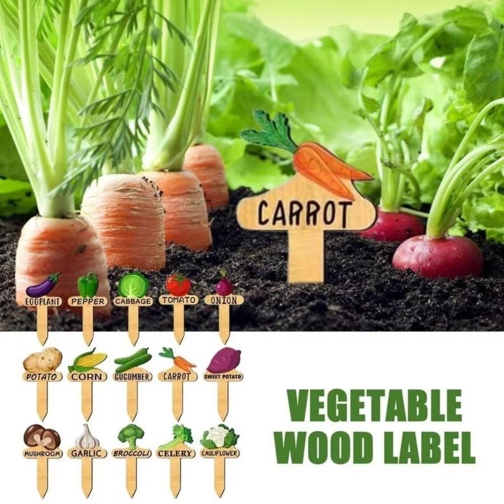 15PCS Wooden Garden Flower Labels Reusable Vegetable Name Tag Plant Markers  Indoor Plants