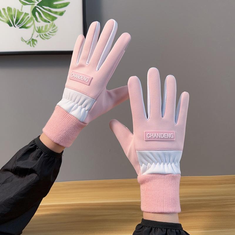 

Gloves women winter warm velvet winter windproof waterproof touch screen outdoor sports motorcycle electric car riding one size fits all сірий колір