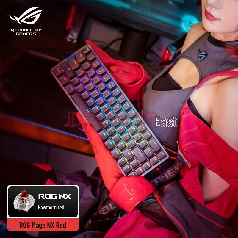 ASUS ROG Falchion NX Wireless Mechanical Keyboard
