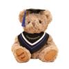 20CM Cute Doctor Bear Plush Toy Soft Graduate Plush Dolls Creative Graduation Bear  Graduate Gift