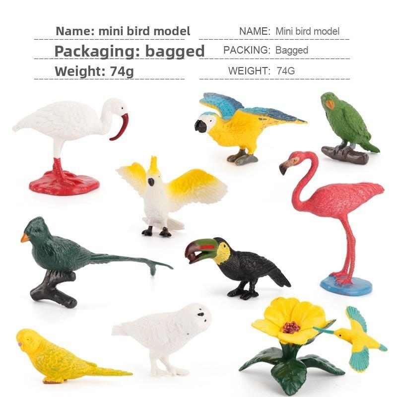 Organs Human Pvc Model Set Montessori Teaching Toy For Kids Learning Science