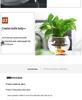 Modern Minimalist Hydroponic Glass Vase for Pothos & Green Plants - Living Room Desk Decor
