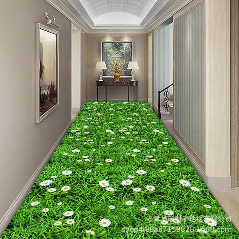 Household Living Room Corridor Carpet Hallway Entrance Hall Household Entrance Carpet