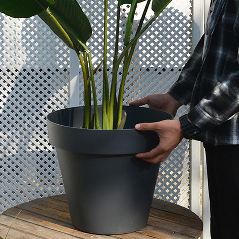 Nordic Style Round Root Control Flower Pot
