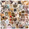 50 Sheets of Cute Cat Stickers: Pet, Influencer, Emoji, Graffiti Designs