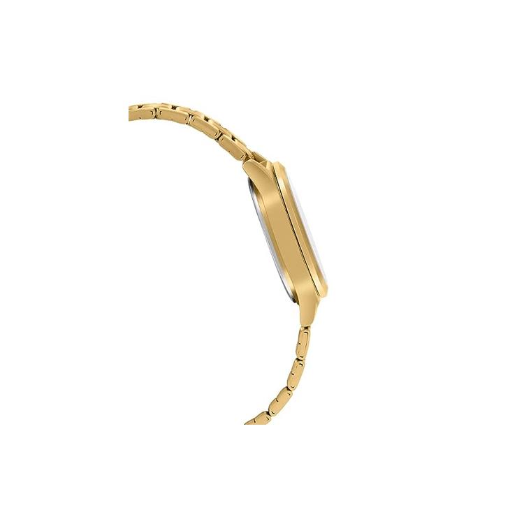 Casio Women's Standard Series Gold Watch LTP-V300G-7AUDF