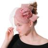 Leather Pink Top Hat Popular Linen Yarn Banquet Mesh Top Hat Bride Feather Hairpin Europe And America