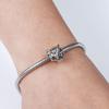 925 Silver Pet Charm Pendant Penguin Monkey Lion Paw Print DIY Bracelet Jewelry Gift for Women Fashion