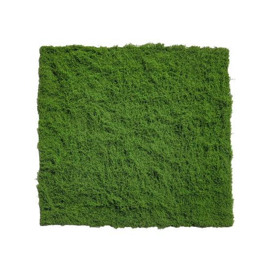 Artificial Moss Pad Realistic Faux Moss Planter Decor Green Fake Moss Turf for DIY Projects Craft Table Centerpieces Fairy Garden Decorations