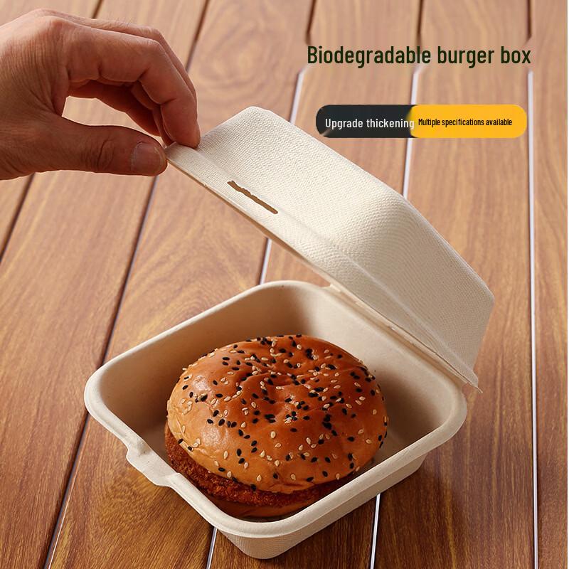 OLOEY Disposable Sugarcane Pulp Food Containers