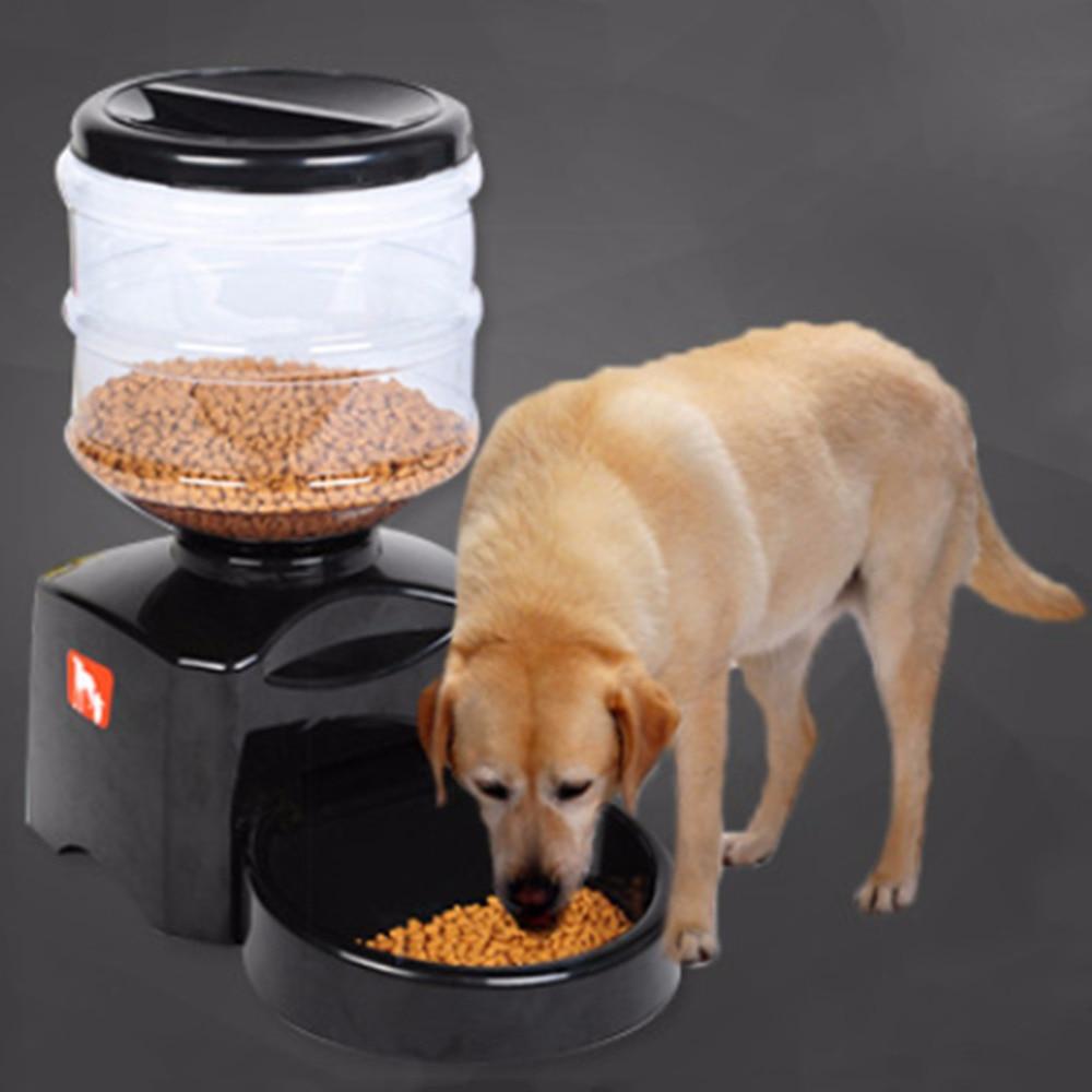 automatic pet feeder for large dogs