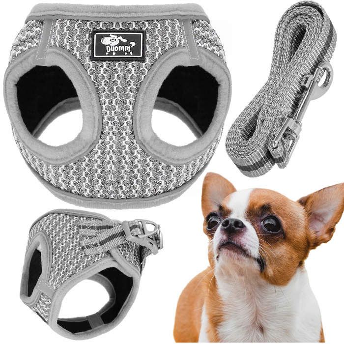 Coleira para cão com trela - SPRINGOS - Tamanho L - Acolchoada - Fecho duplo - Tiras refletoras