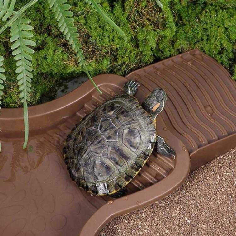 Turtles Habitat Bowl With Ergonomic Steps 4.3cm Depth Scratch Resistant For Indoor and Outdoor Use