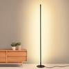 OEING Modern RGB Floor Lamp with Remote