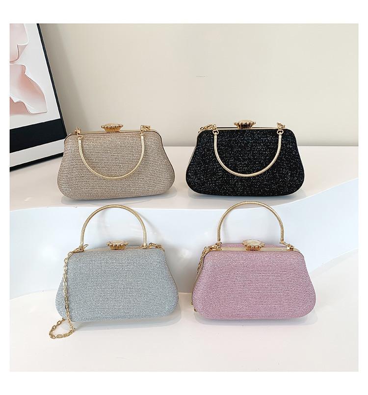 2024 New Spring Beautiful Casual Fashion Evening Bag Women's Bag Chain Handbag