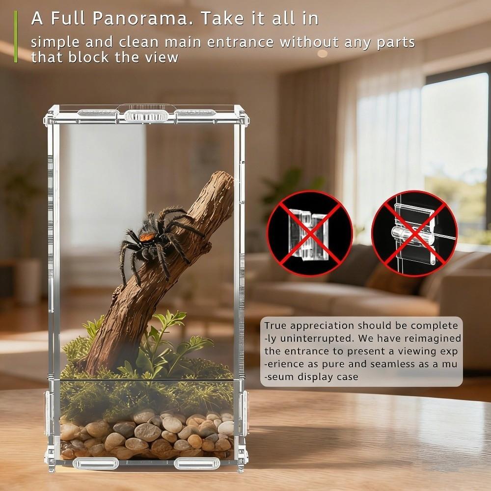 Fecho de Fivela para Terrário de Aranha Saltadora de Acrílico Novo Habitat para Aranha Suprimentos para Animais de Estimação Pequenos