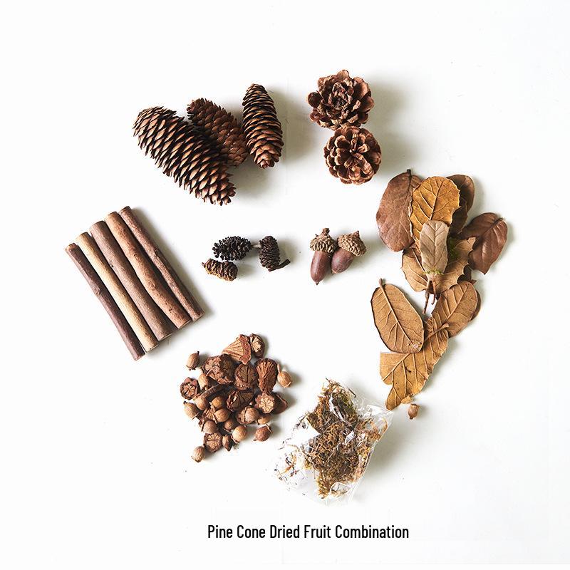 

Woodland Photography Props: Small Ornaments for Forest-Style Display